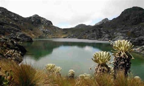 MinAmbiente formalizó el registro de la reserva forestal protectora de