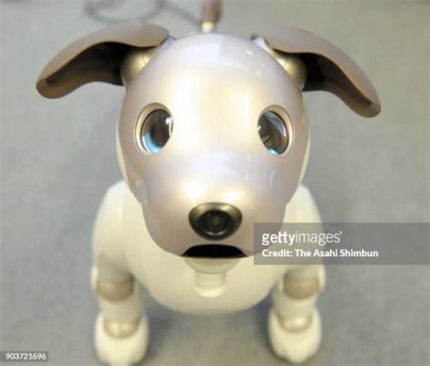 New Aibo Robot Dog Launched In Japan Photos and Premium High Res ...