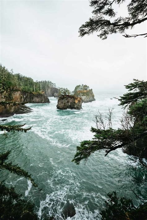 The Best Scenic Drives In Washington State Picked By Local Experts ...