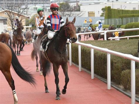 【3歳1勝クラス阪神5rレース後コメント】ミルトハンター鮫島克駿騎手ら 競馬ニュース Netkeiba