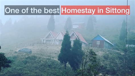 Best Homestay In Sittong Sittong Homestay Review Walk In Cloud