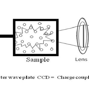 The Experimental Setup For Polarimetric Measurements In Transmission