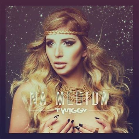 Twiggy Vilela 1 álbum da Discografia no LETRAS MUS BR