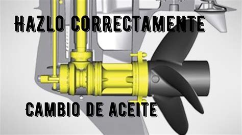 Tutorial Completa Del Aceite Para Motor Fuera De Borda Lo Que