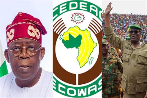 Nigeria Ecowas Others Sued Over Planned Military Intervention In