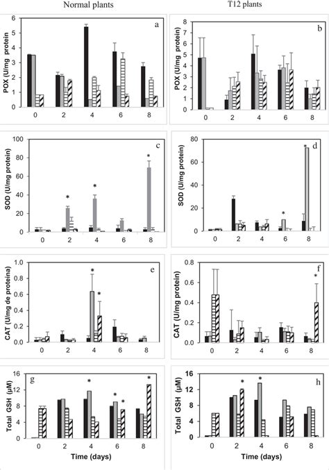 Antioxidant Enzymatic Activities And Glutathione Levels In Normal And