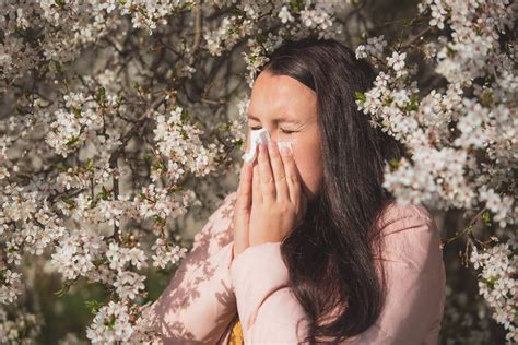 Arriva La Primavera Tempo Di Pollini E Allergie Scopri Come Curarti