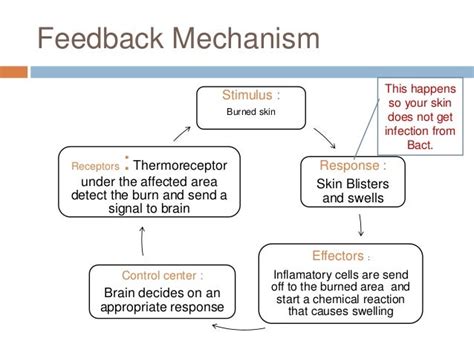 Feedback mechanism