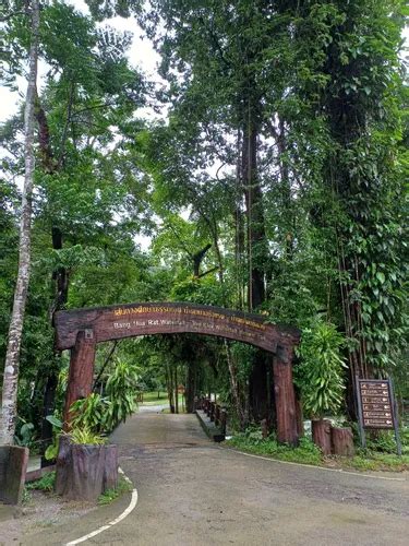 Best Views Trails In Khao Sok National Park Alltrails