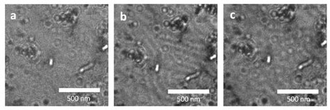 A B And C Correspond To Lorentz TEM Images From The Same Area