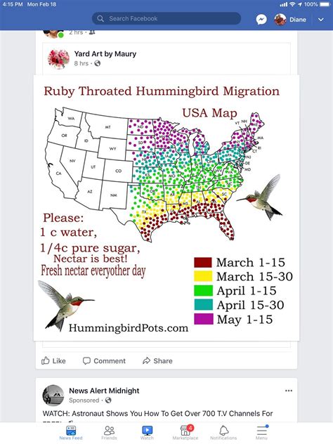 Pin By Diane Knief On Gardening Usa Map Humming Bird Feeders