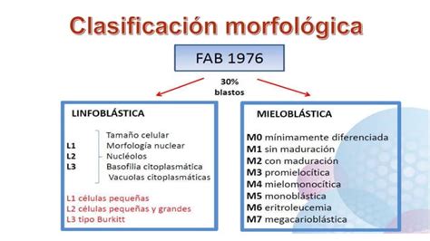 LEUCEMIA MIELOBLASTICA AGUDA HEMATOLOGIA Pptx