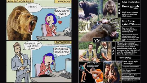 Here’s Why Men Are Getting Angry Over Tiktok’s ‘Man vs Bear’ Memes, and ...