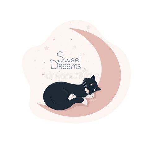 Cute Curled Up Cat Sleeping Stock Illustrations 114 Cute Curled Up Cat Sleeping Stock