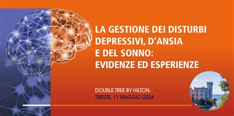 La Gestione Dei Disturbi Depressivi Dansia E Del Sonno Evidenze Ed