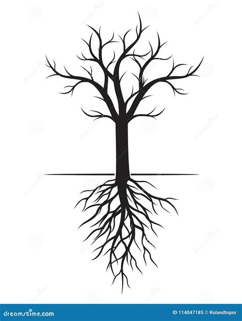 Naked Tree Silhouette On White Background Fine Detailed Realistic