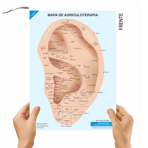 Mapa Pontos Acupuntura Auricular Chinesa Auriculoterapia Shopee Brasil