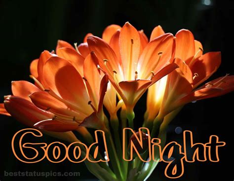 Good Night Flowers Images / Good Night Flowers Images Photos And ...