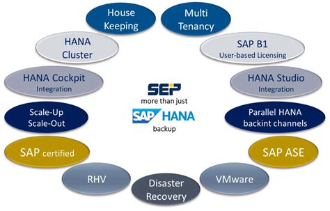 Advanced Backup Solution For SAP HANA On IBM Power Systems Blog