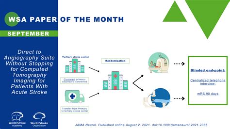 The Paper Of The Month September World Stroke Academy