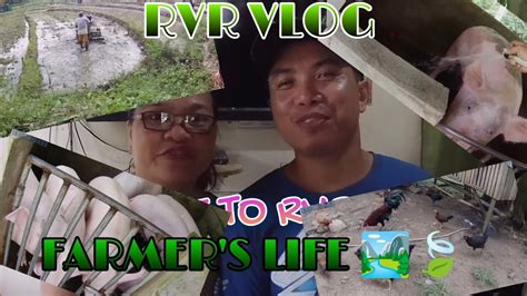 SIMPLENG HANAP BUHAY NAMIN SA PROBINSYA FARMER S LIFE RVR VLOG