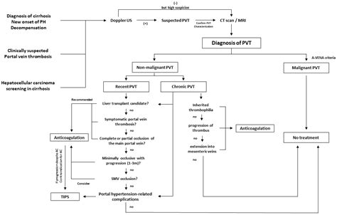 Jcm Free Full Text Portal Vein Thrombosis In The Setting Of