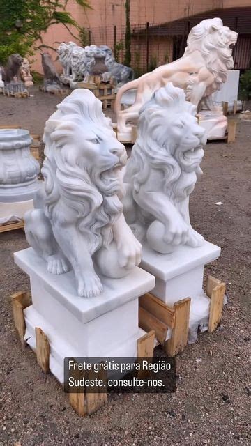 Two White Lions Sitting Next To Each Other On Top Of Wooden Pallets In