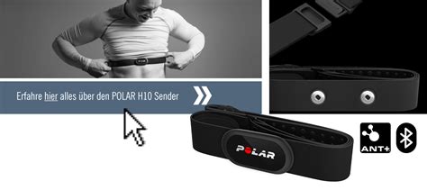 POLAR Pro Brustgurt für H9 und H10 Sender online kaufen CardioZone