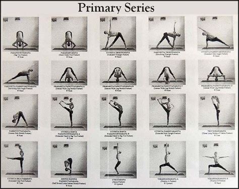 Ashtanga Vinyasa Primary Series Complete Sequence Yoga Therapy