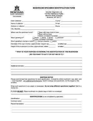 Fillable Online Mushroom Specimen Identification Form Schutter