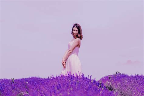 65,776+ Best Free Lavender field Stock Photos & Images · 100% Royalty-Free HD Downloads