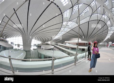 Interior view of the Beijing Daxing International Airport in Beijing, China, 27 June 2019. From ...