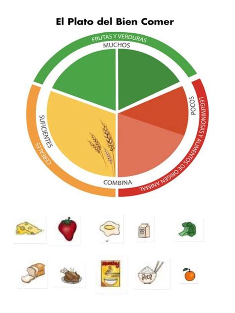 Plato Del Buen Comer Exercise Actividades De Aprendizaje Preescolares