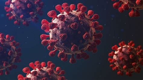 Coronavirus Puede El Covid Convertirse En Un Virus End Mico Bbc