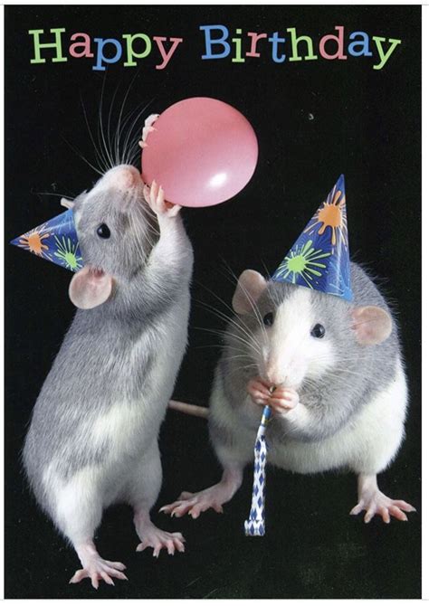 Cute Happy Birthday Card With Mice And Balloons