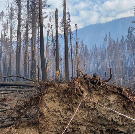 Photos The Aftermath Of Beachie Creek Riverside Fires Kmtr