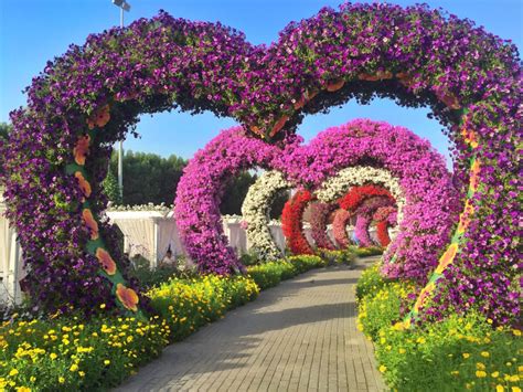 Why Dubai Miracle Gardens is an Instagram-Addict's Paradise!