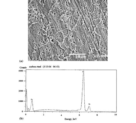 A Sem Micrograph Of Unexposed Mild Steel Coupon Along With B Eds