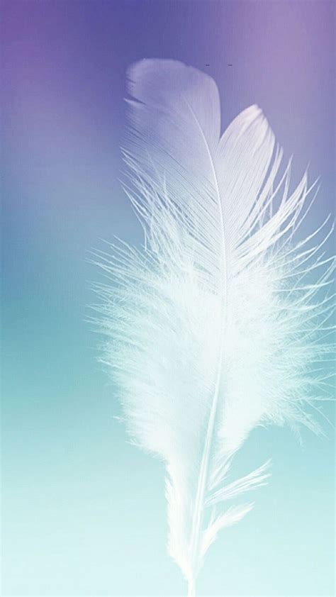 Pin By Empath Energy On Angels Wings Angel Wings Wall Art Feather