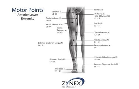 Zmpczm0160001216 Electrode Placement And Protocol Guidelines