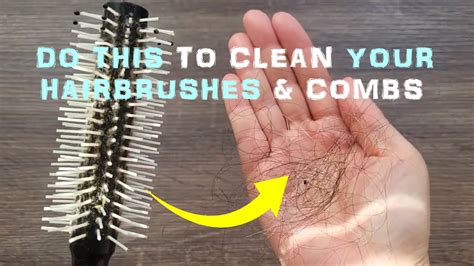 How To Properly Clean Your Hairbrush And Comb In A Few Easy Steps Youtube