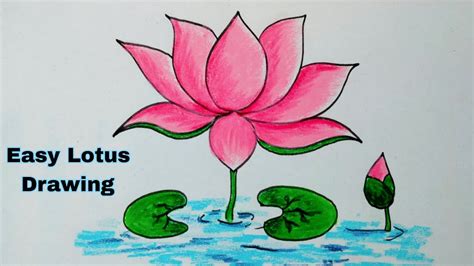 How To Draw Lotus Step By Step Ll Lotus Drawing For Beginners Ll Easy