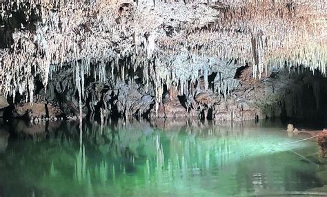 Pilotes Del Tren Maya Afectan Dos Cavernas El Universal