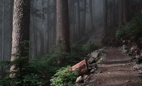 Hiking & Walking Trails North Shore Vancouver British Columbia Canada