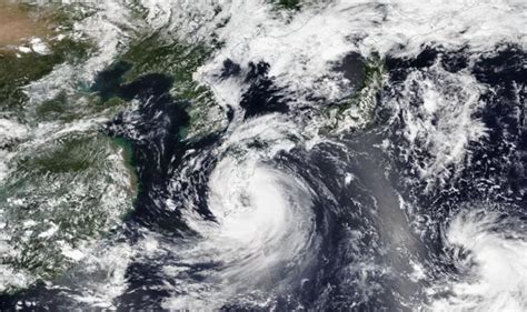 Flights Cancelled As Storm Khanun Hits S Korea News