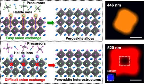 Halide Anion Exchange Driven Structural Phase Transition In Cspbx3