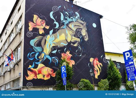 Belgrade Novi Sad Serbia 06 05 2019 Seria Street Art Editorial