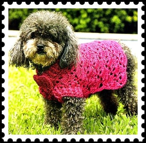 Trajes De Lana Para Perros Aprende A Como Hacerlo Im Genes De Ropa