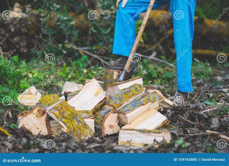 lumberjack splitting wood  cutting firewood   axe stock