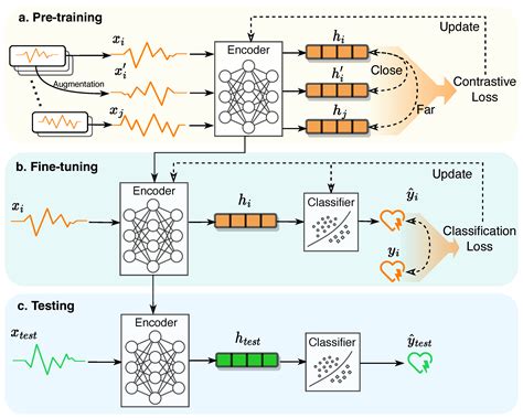 Sensors Free Full Text Self Supervised Contrastive Learning For Medical Time Series A